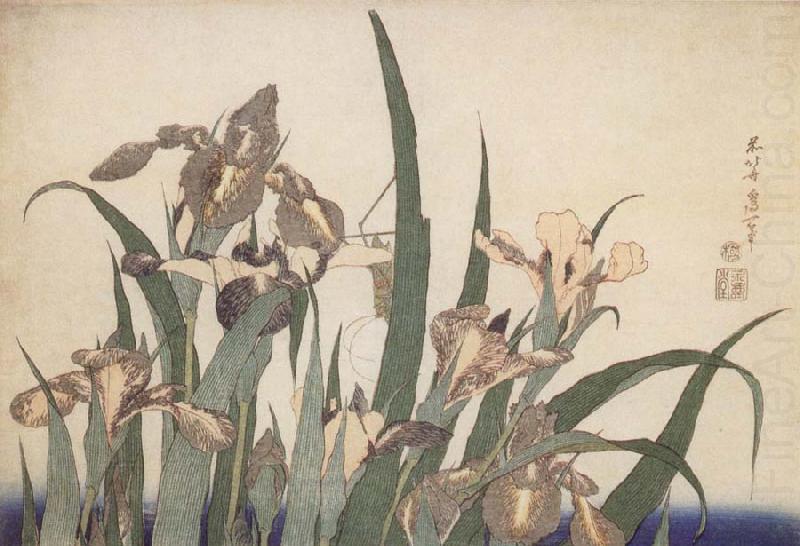 Claude Monet Iris china oil painting image